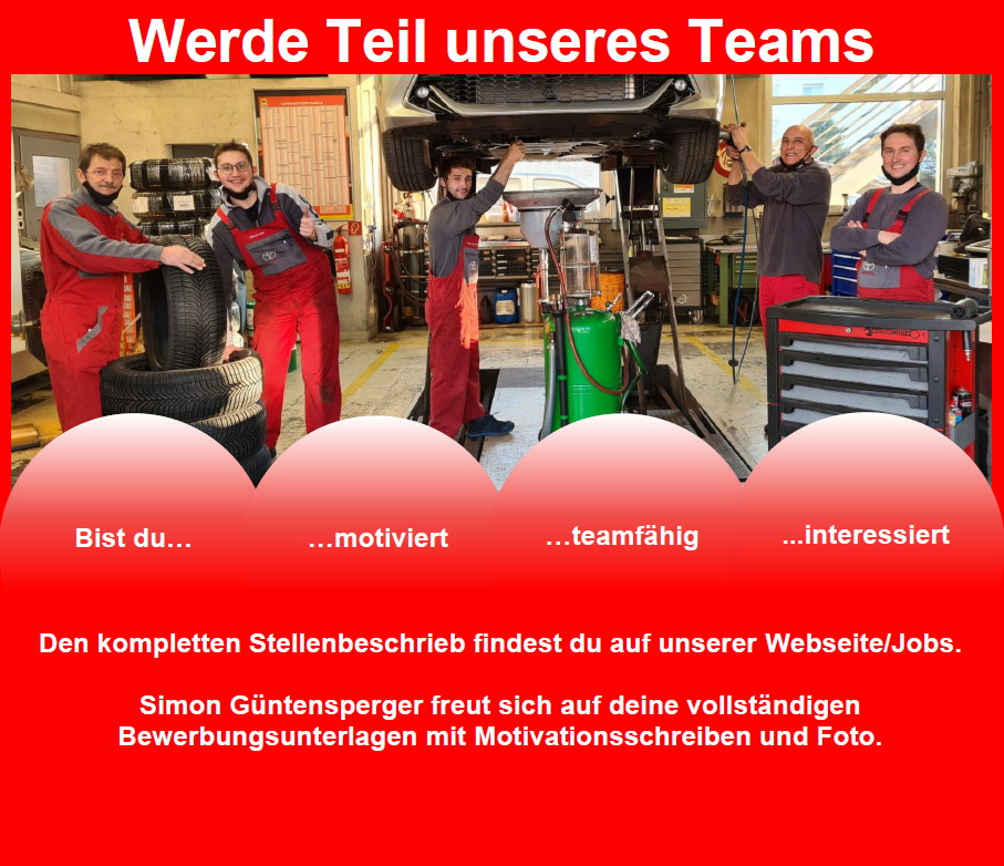 Automobil-Mechatroniker EFZ